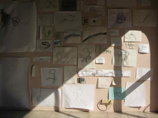 Rope Drawings 2011